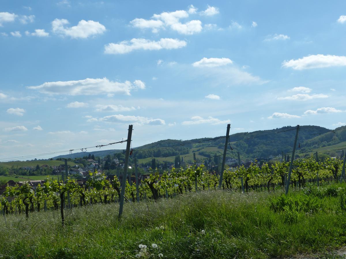 Gaestehaus Annel Niederhorbach Luaran gambar
