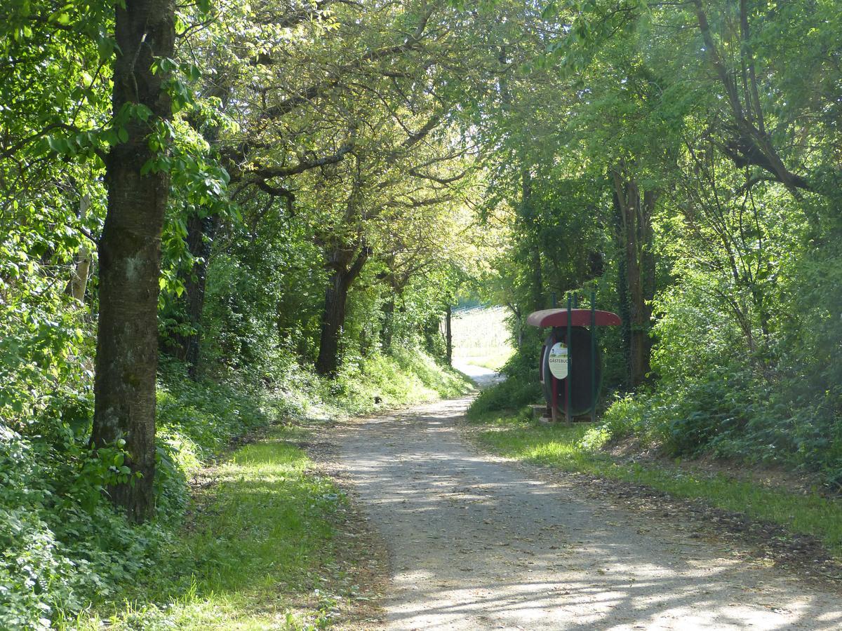Gaestehaus Annel Niederhorbach Luaran gambar